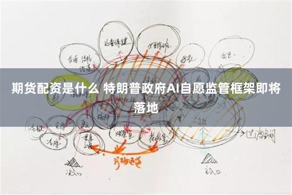 期货配资是什么 特朗普政府AI自愿监管框架即将落地