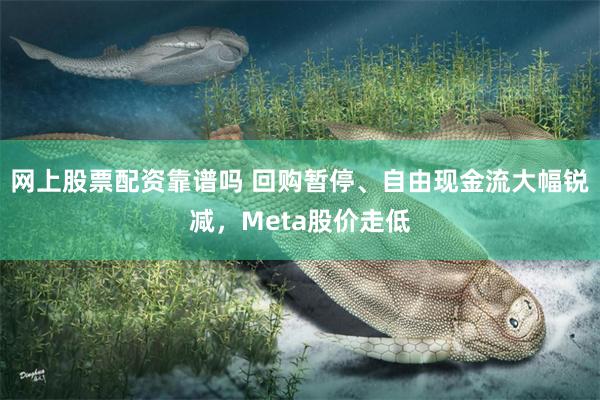 网上股票配资靠谱吗 回购暂停、自由现金流大幅锐减，Meta股价走低