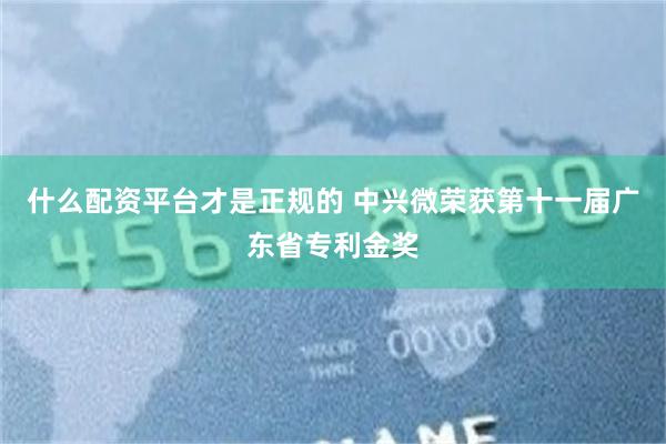 什么配资平台才是正规的 中兴微荣获第十一届广东省专利金奖