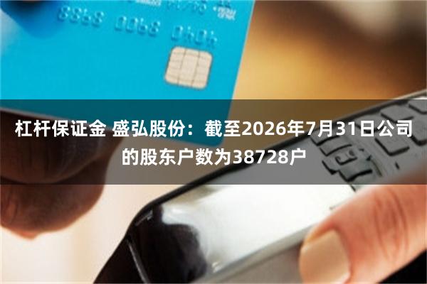 杠杆保证金 盛弘股份：截至2026年7月31日公司的股东户数为38728户