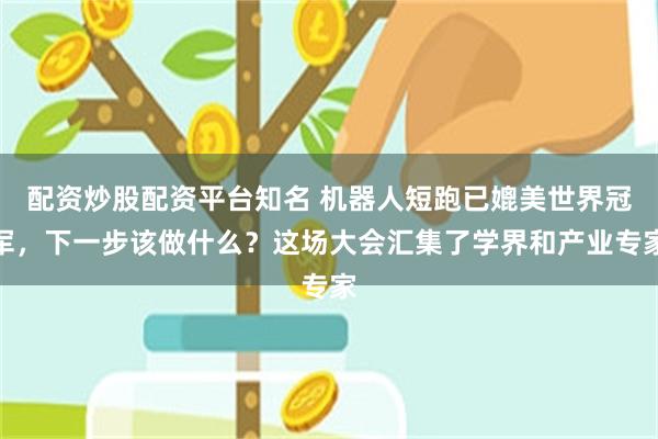 配资炒股配资平台知名 机器人短跑已媲美世界冠军，下一步该做什么？这场大会汇集了学界和产业专家