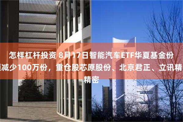 怎样杠杆投资 8月17日智能汽车ETF华夏基金份额减少100万份，重仓股芯原股份、北京君正、立讯精密