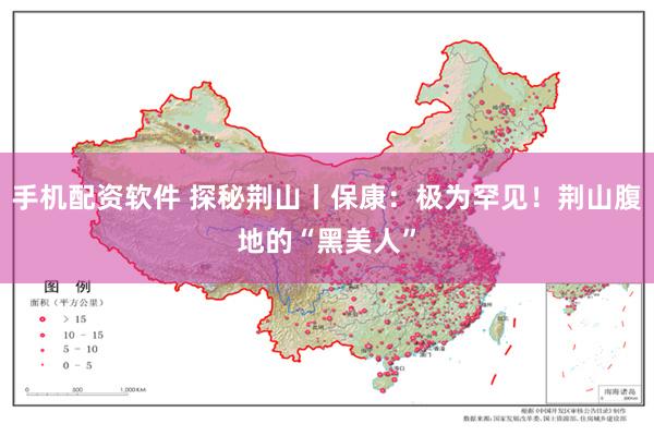 手机配资软件 探秘荆山丨保康：极为罕见！荆山腹地的“黑美人”