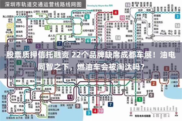 股票质押信托融资 22个品牌缺席成都车展！油电同智之下，燃油车会被淘汰吗？