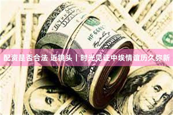 配资是否合法 近镜头｜时光见证中埃情谊历久弥新