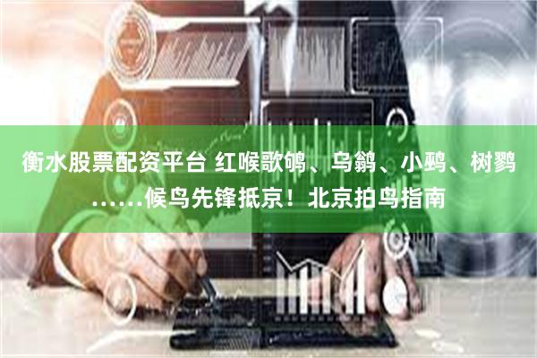 衡水股票配资平台 红喉歌鸲、乌鹟、小鹀、树鹨……候鸟先锋抵京！北京拍鸟指南