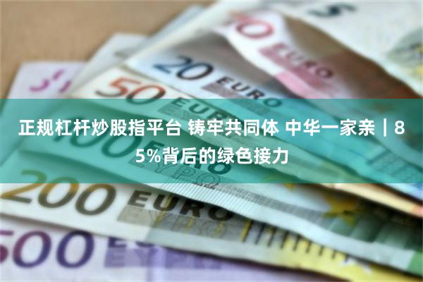 正规杠杆炒股指平台 铸牢共同体 中华一家亲｜85%背后的绿色接力