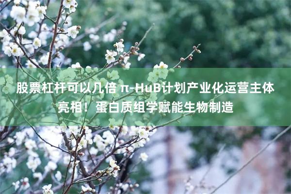 股票杠杆可以几倍 π-HuB计划产业化运营主体亮相！蛋白质组学赋能生物制造