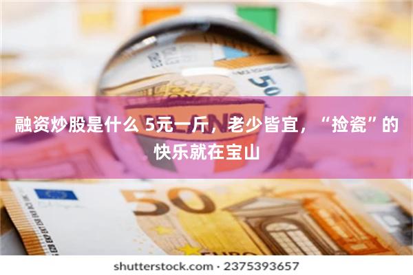 融资炒股是什么 5元一斤,老少皆宜,“捡瓷”的快乐就在宝山